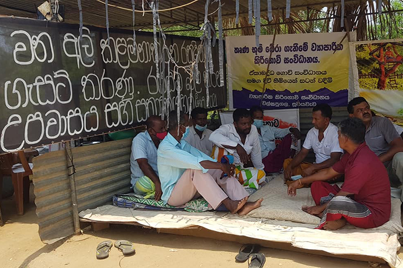 සංවර්ධනය ඉල්ලූ ජනතාව ඒ වෙනුවට වන අලි කළමනාකරණ රක්ෂිතය ඉල්ලා අරගල කළේ ඇයි?