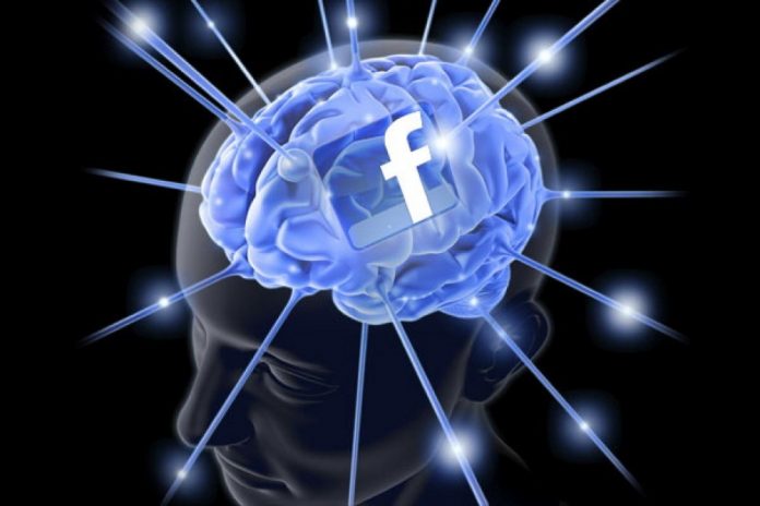 1920 facebookbrain 696x464