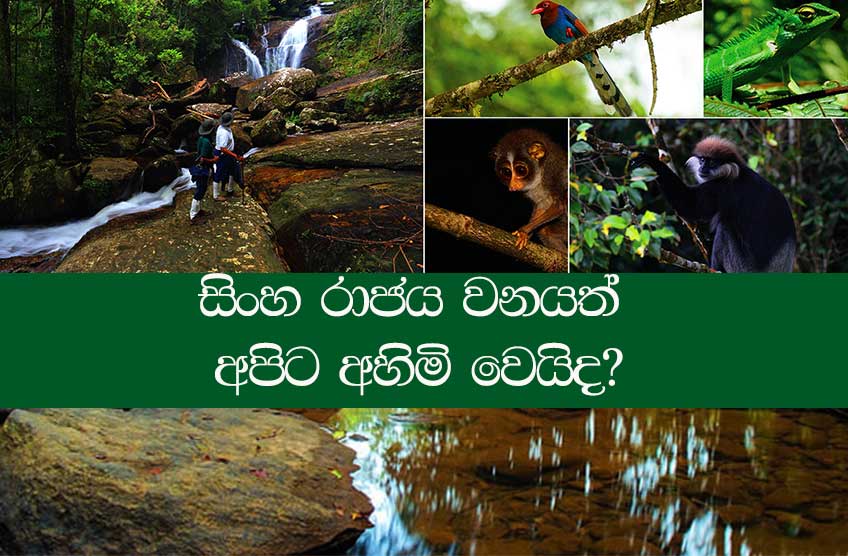 sinharaja