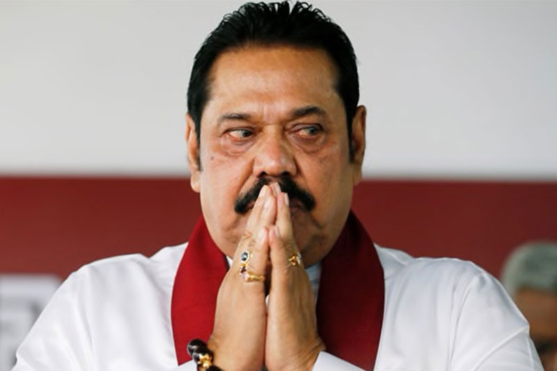 ලංකාවේ හරක්ට අභය දානය! - පිටරටින් හරක් මස් ගෙන්වන කොන්ත්‍රාත්තුව කාටද?
