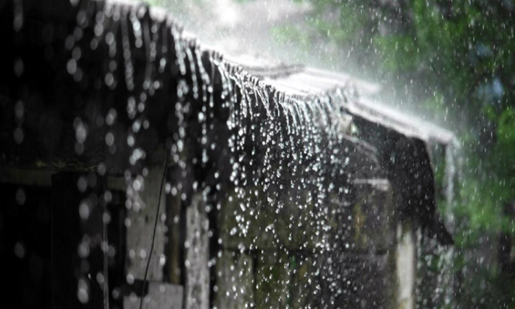 Showers expected in parts of the island