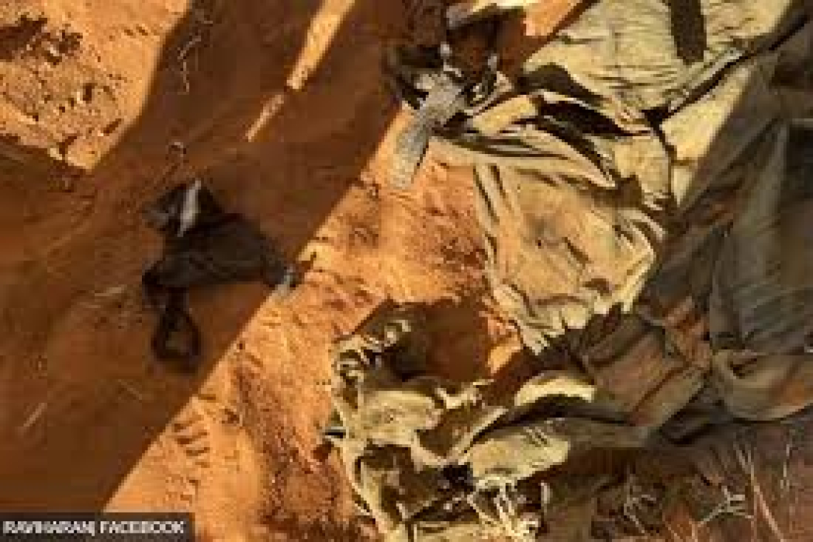 සිරුරු 07ක මිනිස් ඇටසැකිලි එකම තැනකින් හමුවෙයි... සමූහ මිනී වලක් දැයි සැකයක්