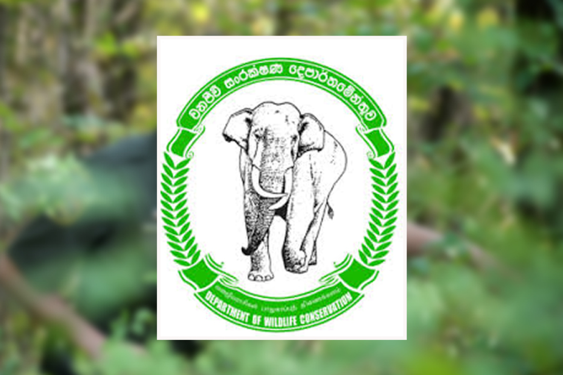 වනජීවී නිලධාරීන් 8000ක් ඕනෑ රටේ ඉන්නේ 800යි’වනජීවී දෙපාර්තමේන්තුවෙන් අනාවරණයක්