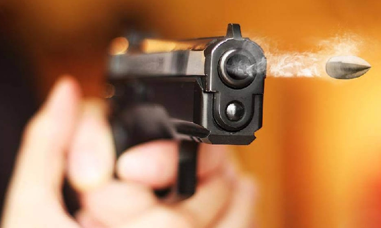 පෑලියගොඩ වෙඩිතැබීමක්