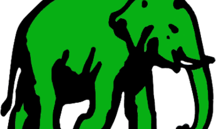 රනිල්ට අසනීප නිසා  කල් දැමූ එජාප 79 වැනි සංවත්සර උළෙල හෙට