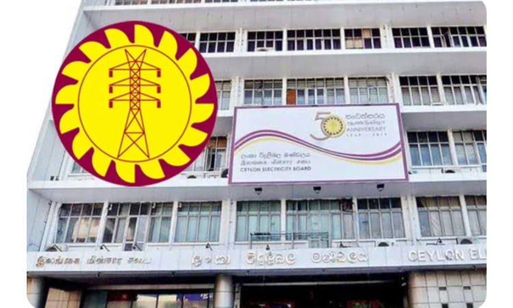 පාලකයින්ගේ තීරණය සේවක මර්දනය නම් අපේ තීරණය වැඩ වර්ජනයක් කරා යෑම විදුලි වෘත්තිය සමිති නායකයෝ කියති