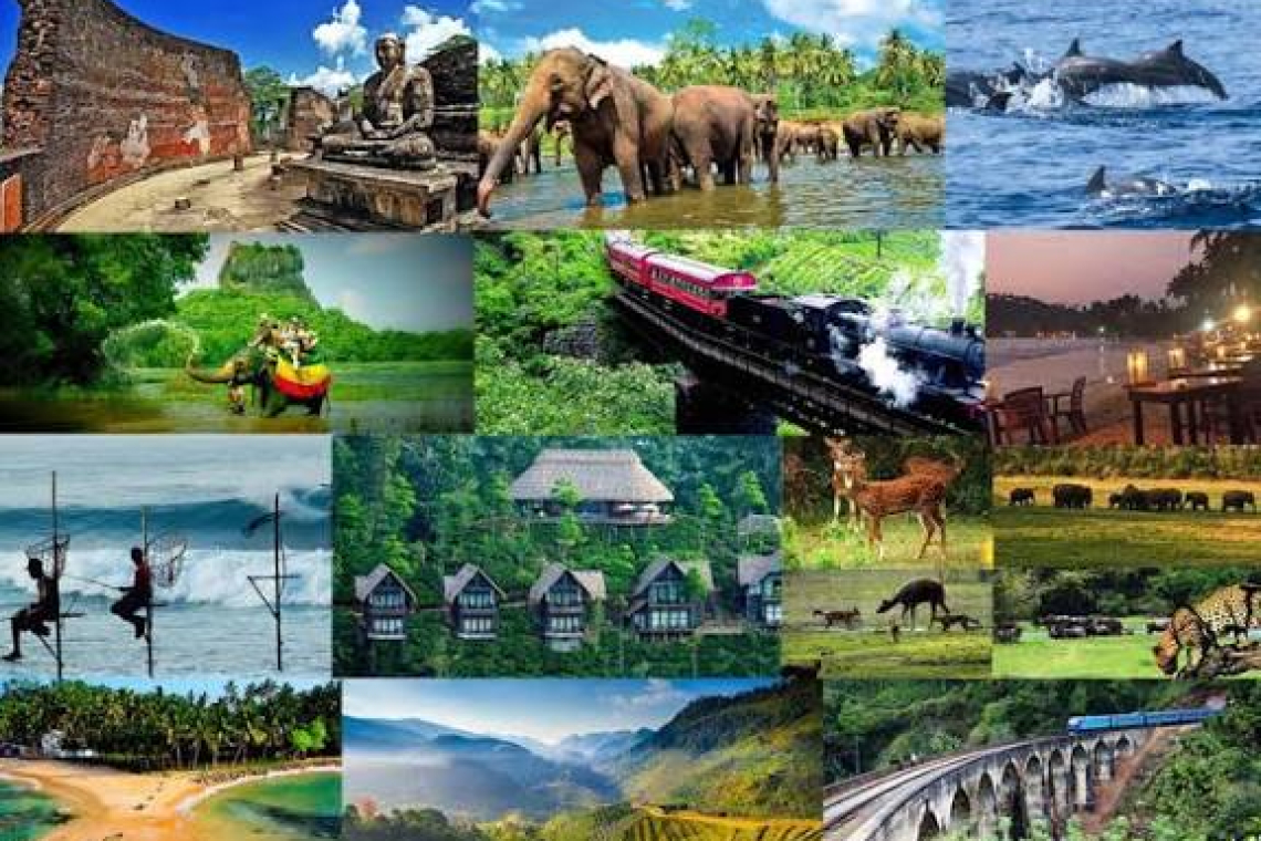 ලංකාව ලොව හොඳම සංචාරක ගමනාන්තය වෙයි