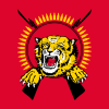 LTTE සංවිධානය නැවත පැමිණීමට උත්සාහයක…ඉන්දීය බුද්ධි අංශයෙන් දරුණු හෙළිදරව්වක්