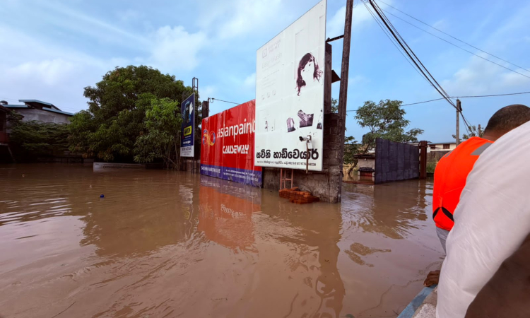 දිට්වා ලංකාවේ පහෙන් එකක් යට කරලා;UNDP විශ්ලේෂණයක් -