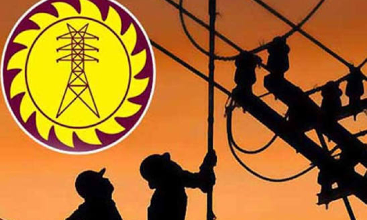 විදුලි වෘත්තිය සමිති 24 ක් වැඩ වර්ජනයක 