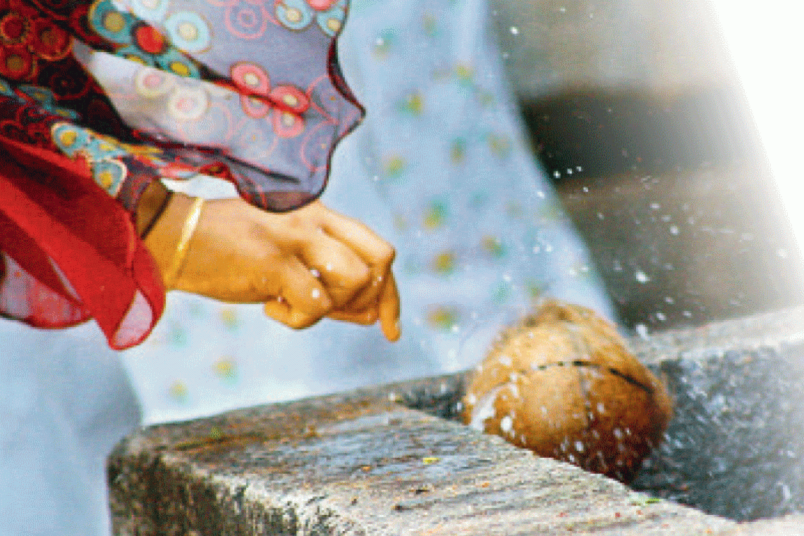 'පැන්ෂන්' නැති වූ මන්ත්‍රීලා ආණ්ඩුවට පොල් ගහන්න යති