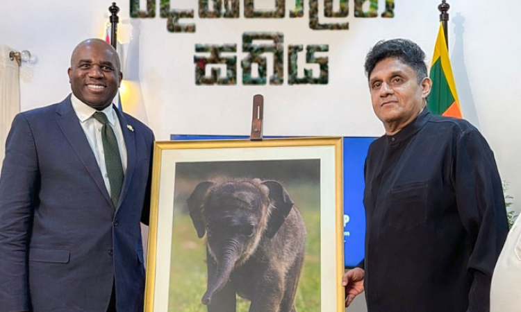සජිත් ගේ දේශපාලන සතිය - ගල්අඟුරු ටෙන්ඩරයෙන් දැළි; ගෑස් ටෙන්ඩරයෙන් ගිනි; දැන් ආණ්ඩුවට සොරි…