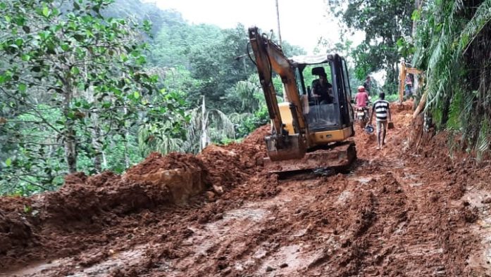 photo sinharaja illegal road construction 697x394